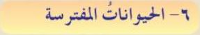 الحيوانات المفترسة